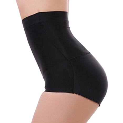 High Waist Seamless Padded Panty - Baretique
 - 5