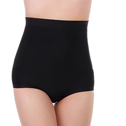 High Waist Seamless Padded Panty - Baretique
 - 6